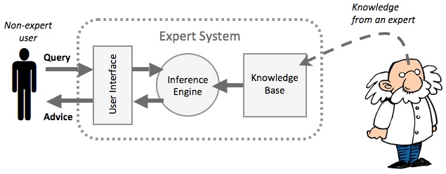 Expert System 